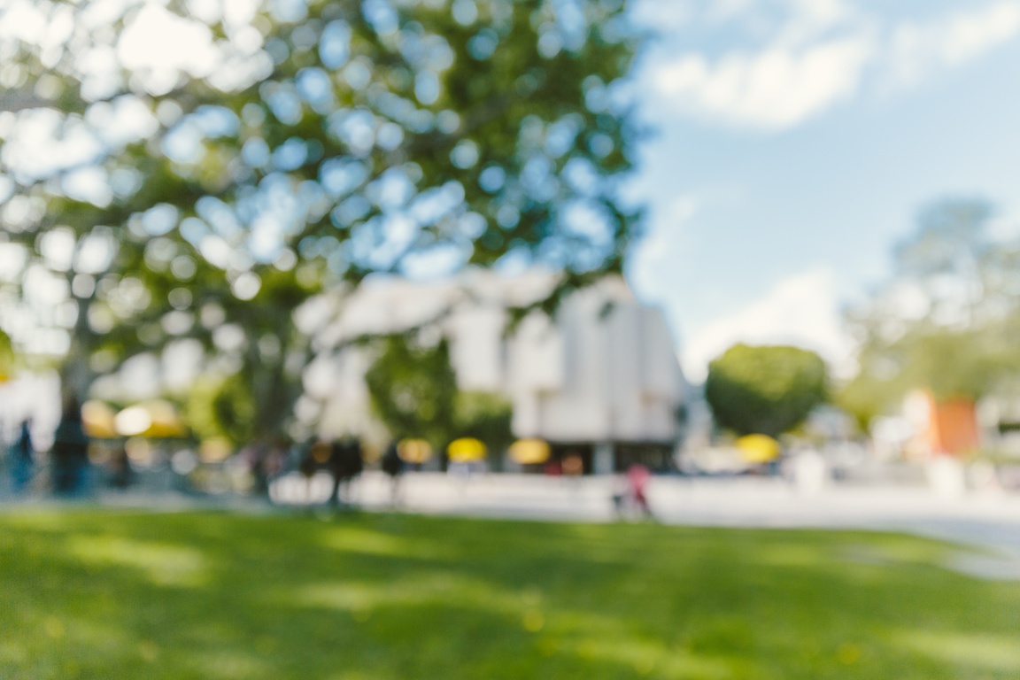 An intentionally out-of-focus photo of a tree-lined campus green, evoking how context can be hard to bring into focus.